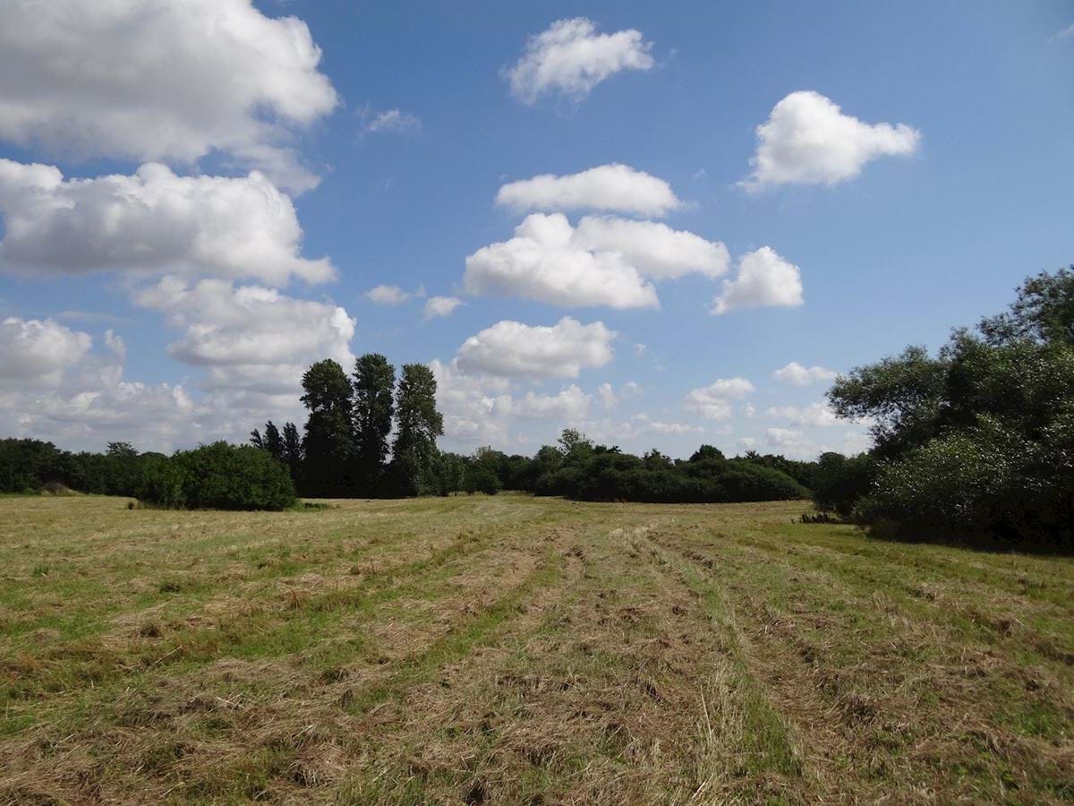 Lokalplanområde mod øst