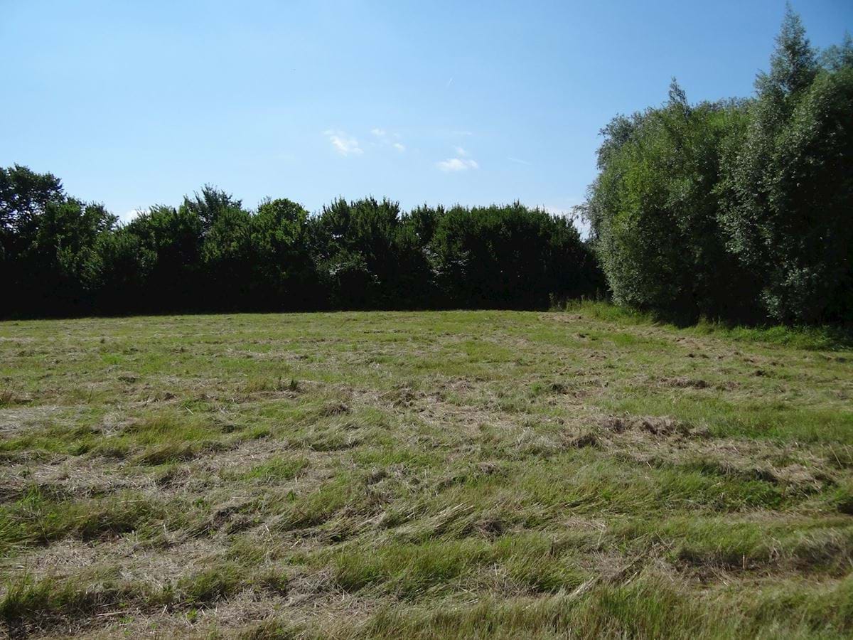 Lokalplanområde mod syd